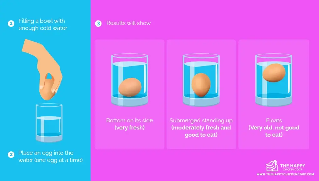 Egg float test - Egg storage