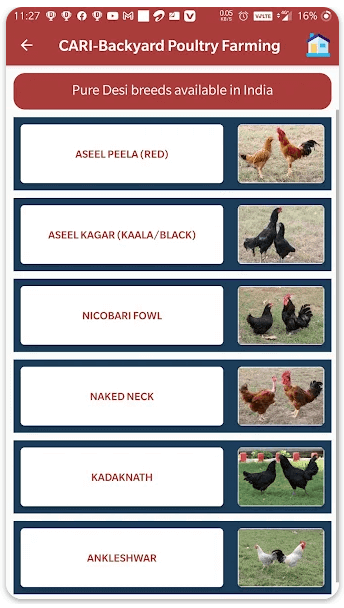 Poultry farming learning app: Backyard poultry farming