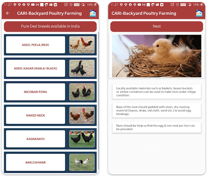 Online poultry farming courses - poultry farming learning app