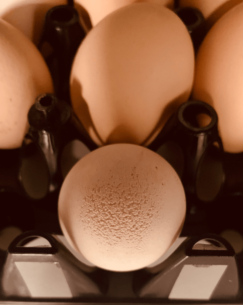 Egg quality