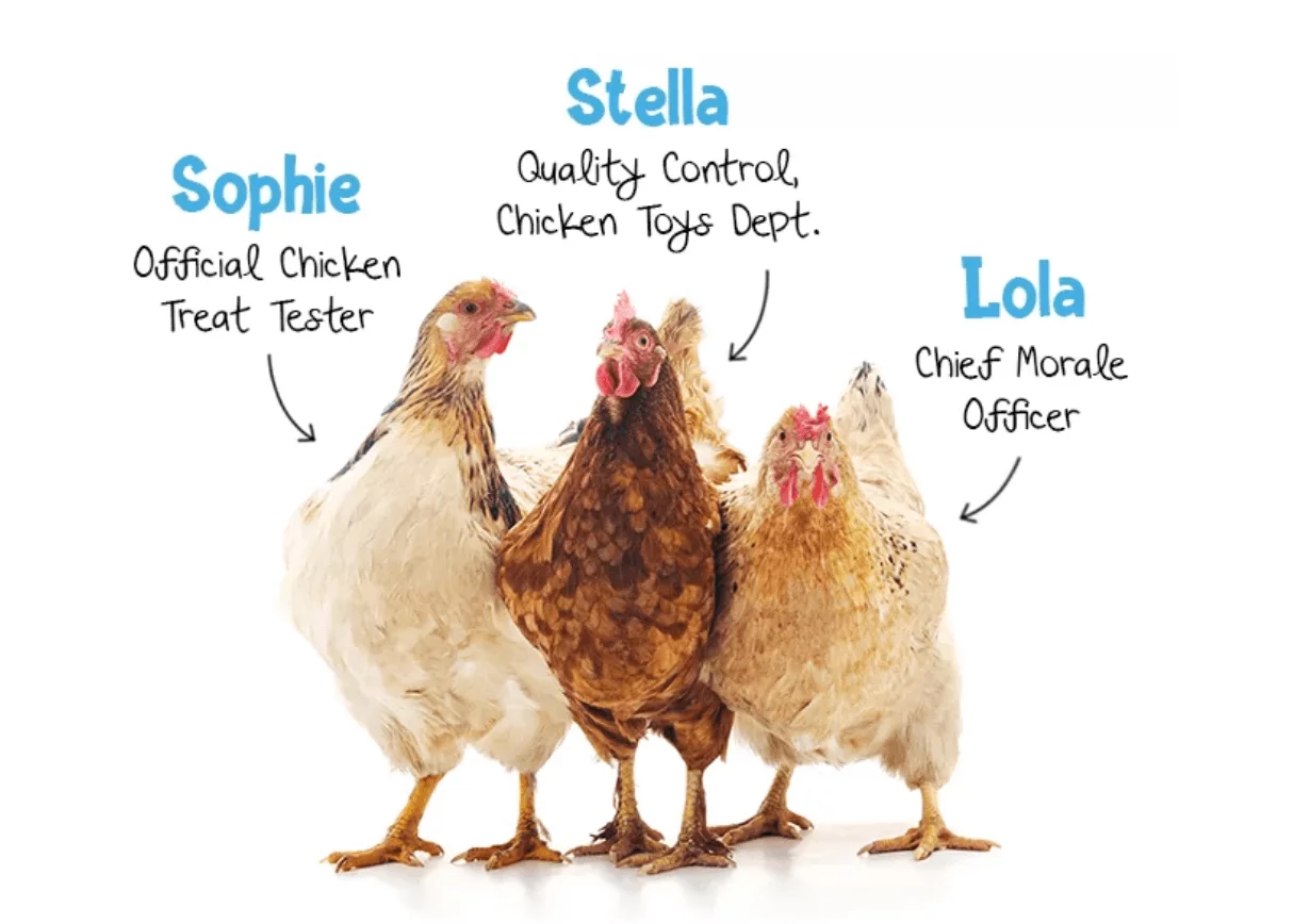 Poultry sounds