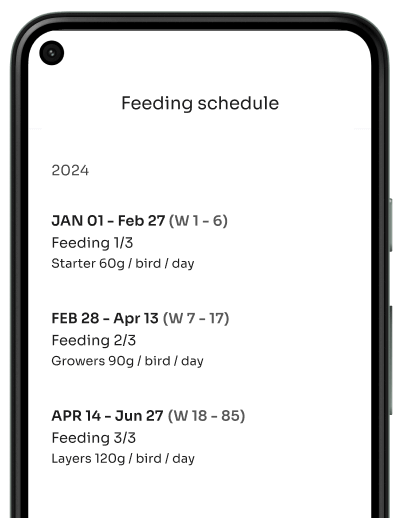 Generic layers feeding schedule