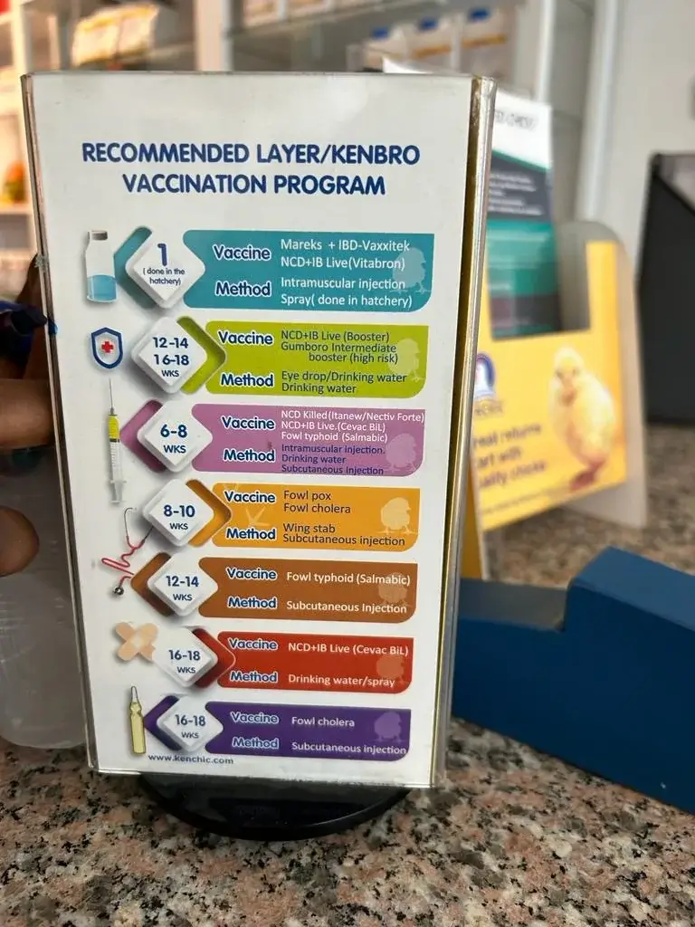 Poultry vaccination schedule for Kenbro layers