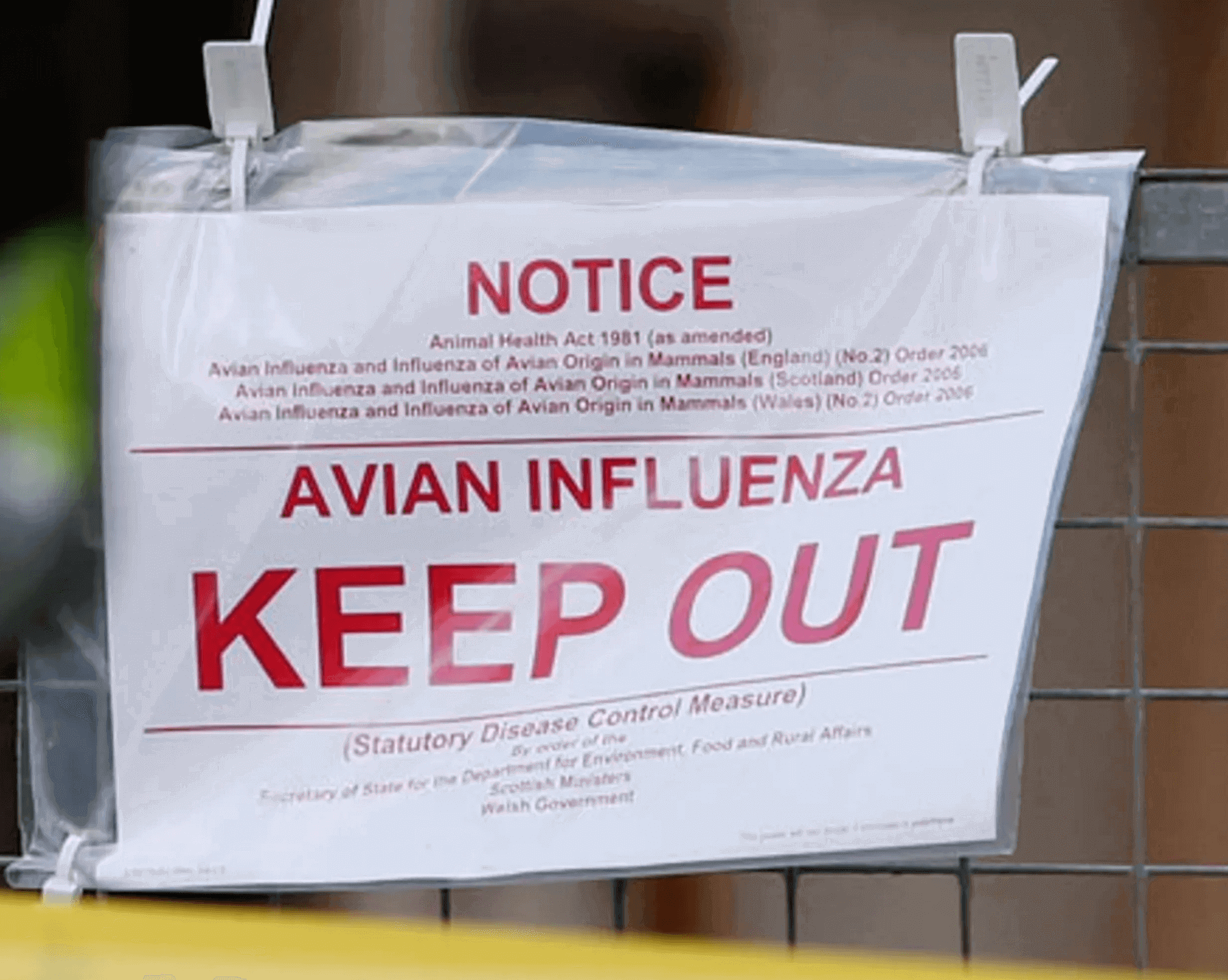 Poultry quarantine space: A sure way to biosecurity