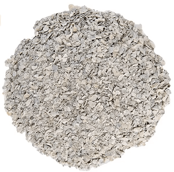 Poultry grit made from ground oyster shells