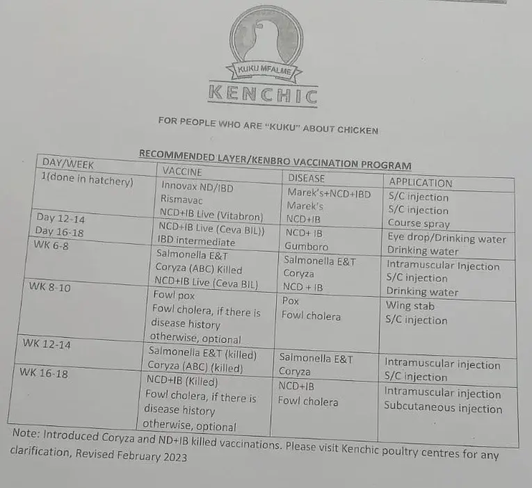 Poultry vaccination schedule for Kenchic layers - record keeping in poultry farming