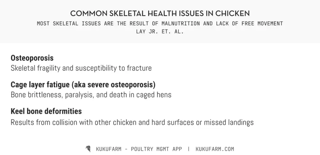 Common skeletal health issues in poultry