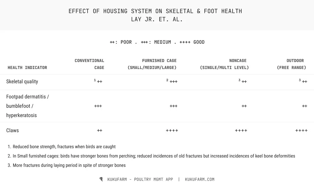 Effect of poultry system on poultry foot and skeletal health