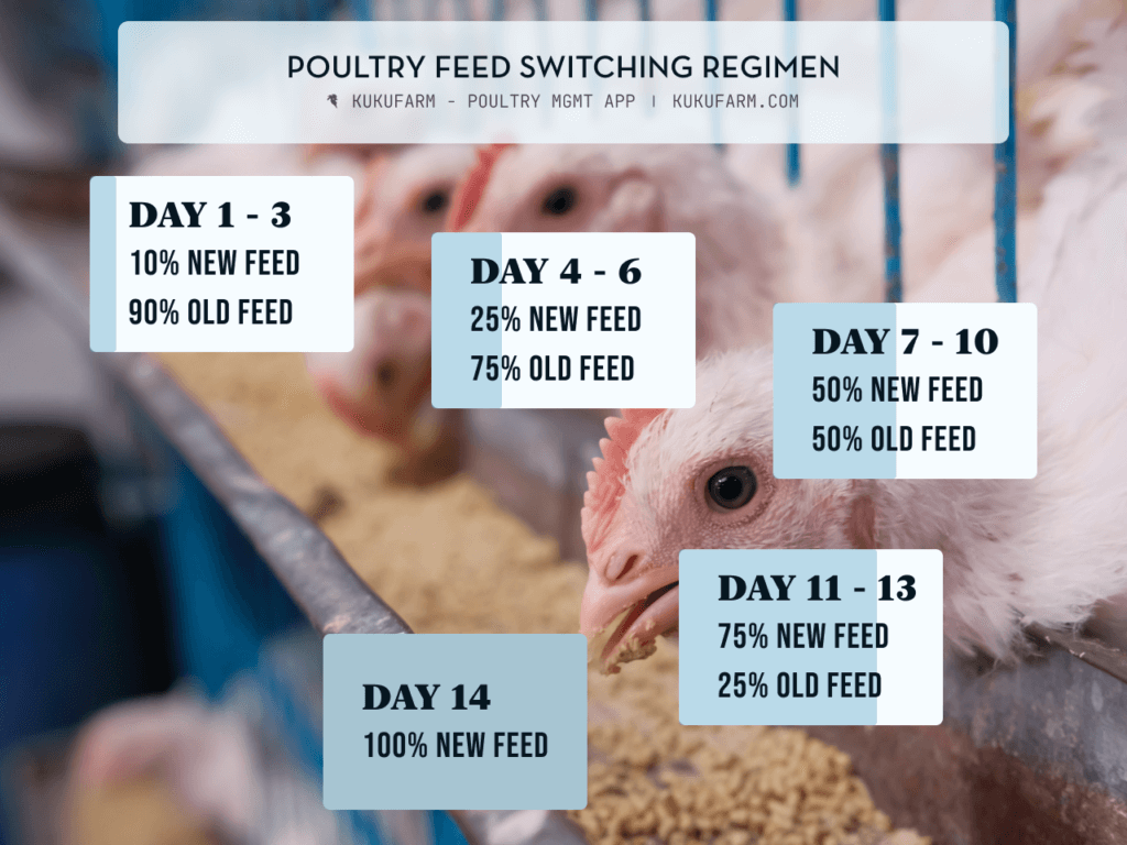 Poultry feed switching regimen