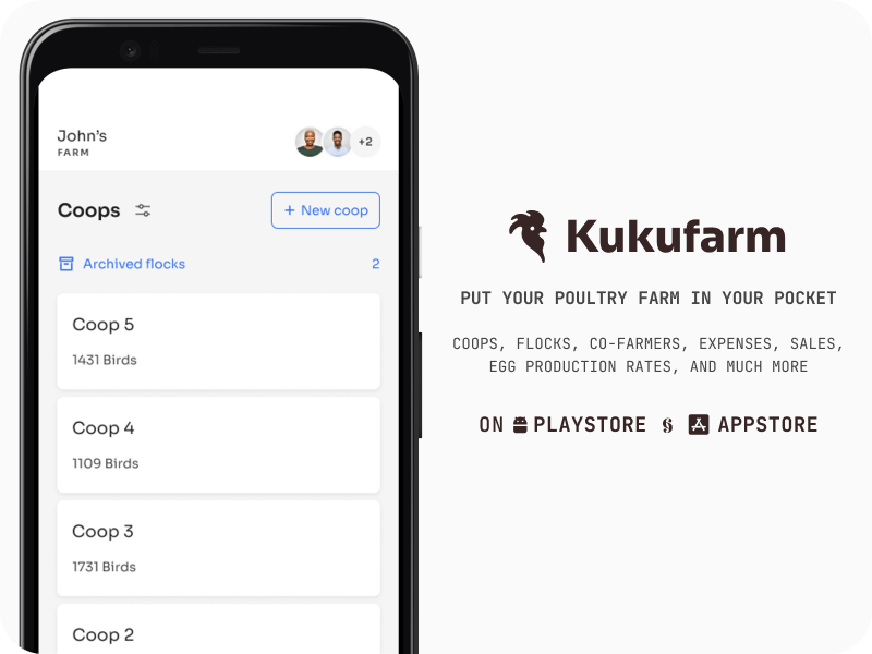 Kukufarm poultry app - poultry records are the gateway to practicing data based poultry farming