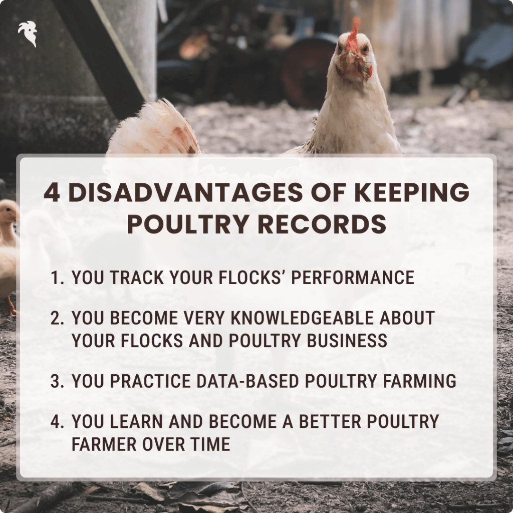 Benefits of keeping poultry records