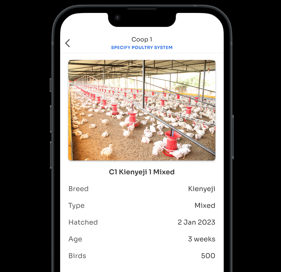 Kukufarm: layers farm management app - flock details