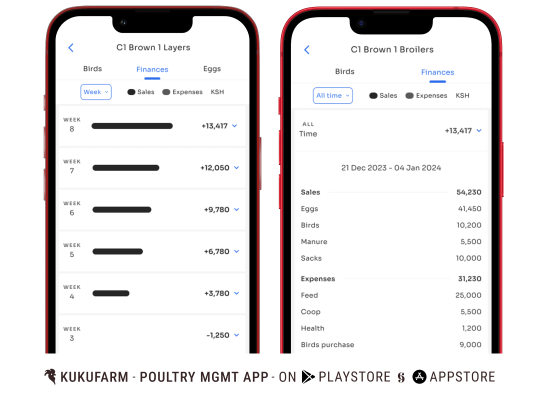 record keeping in poultry farming - financial records