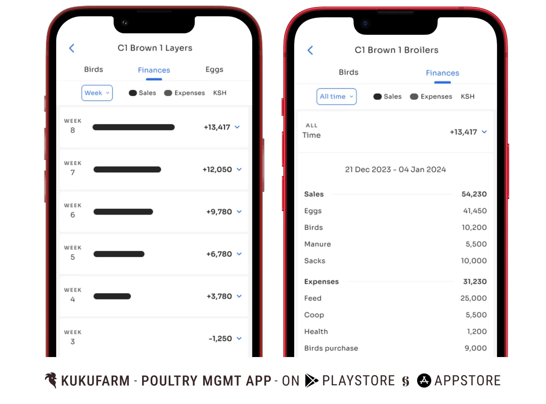 Poultry bookkeeping app: How to track your farm’s finances