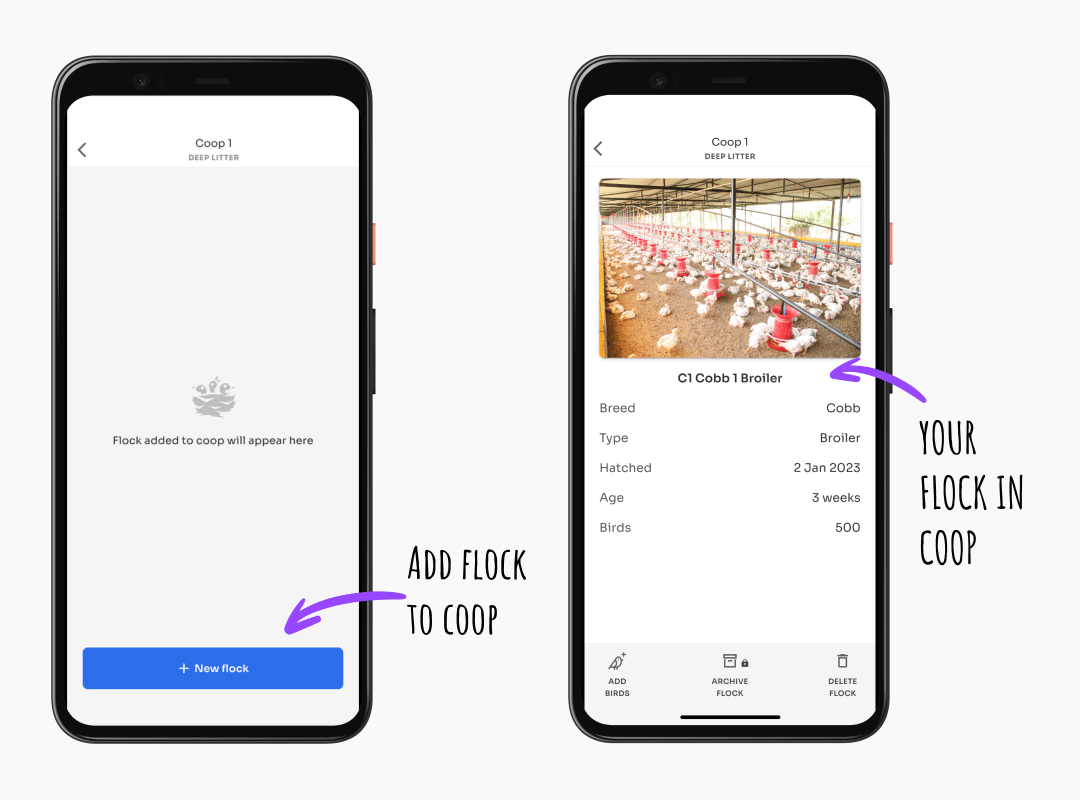 Kukufarm poultry app - add and view flock into a coop