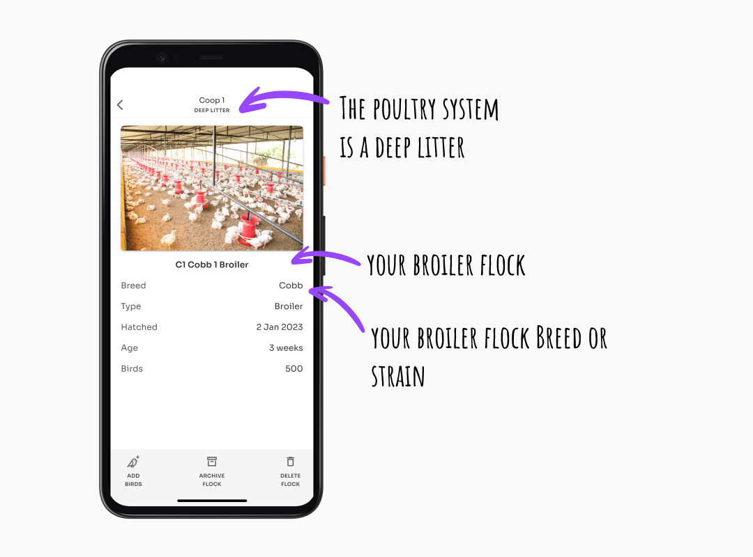 Kukufarm record keeping and  management app: Poultry system and flock details