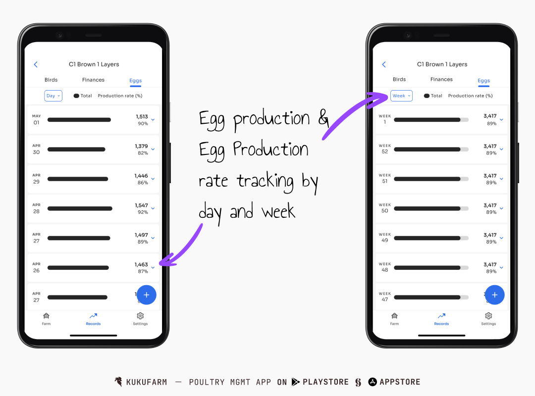 Egg production and egg production rate tracking - Kukufarm poultry app - smart poultry farming