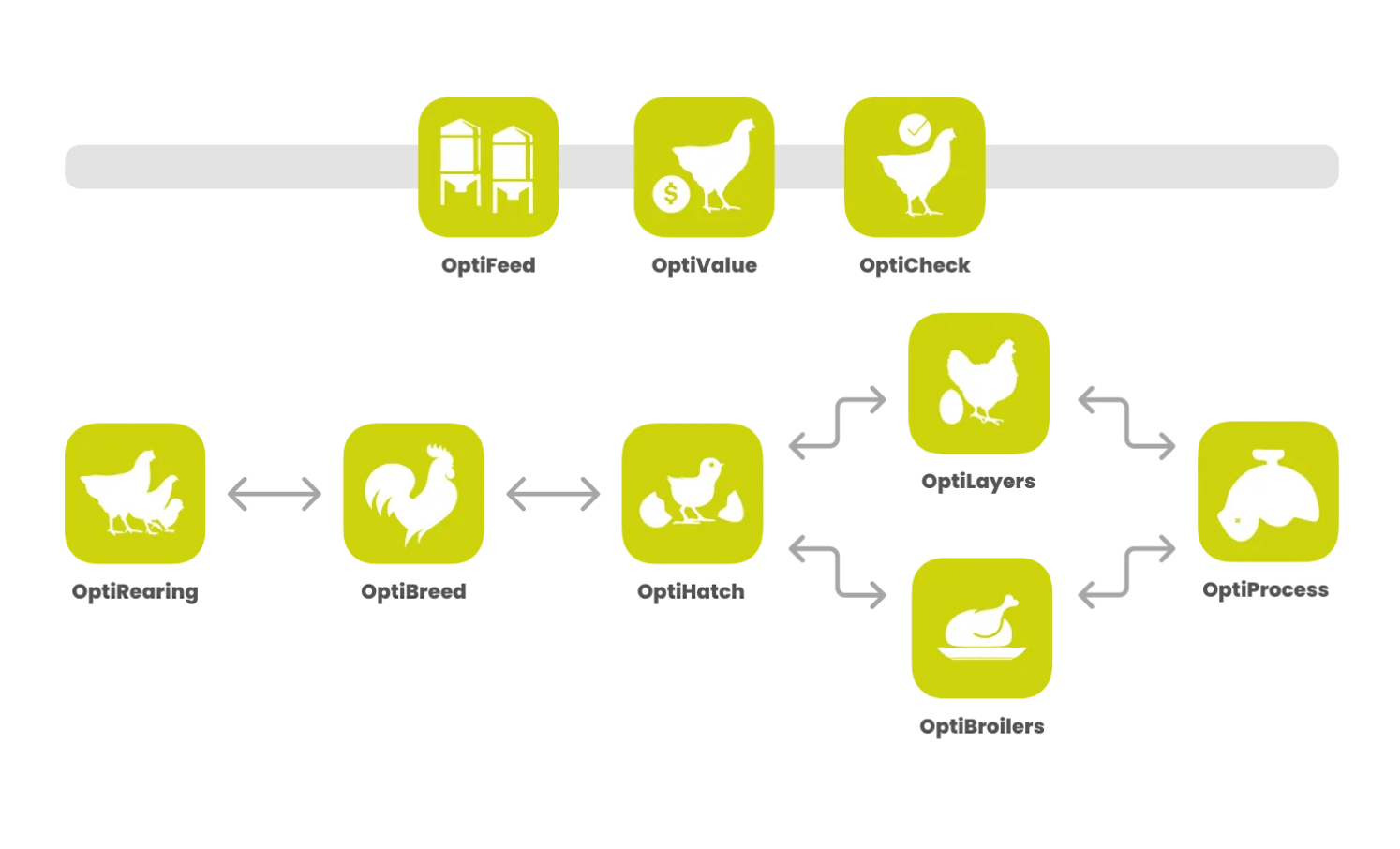 Poultry management software: Poultryplan