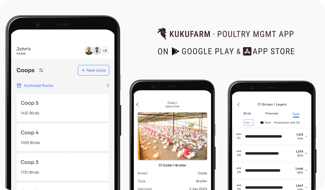 Kukufarm poultry farm app