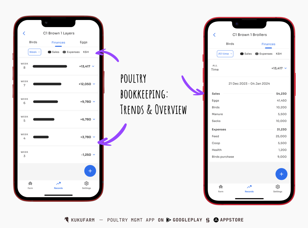 Kukufarm: Poultry bookkeeping app