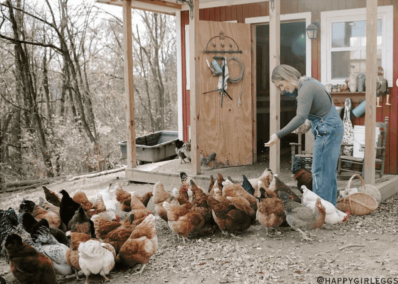 Backyard poultry farming